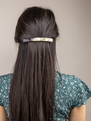 Barrette Segment
