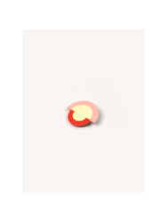Broche en corne et laque