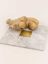 Dessous de plat Cygnus