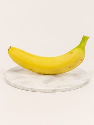 Dessous de plat Centaure